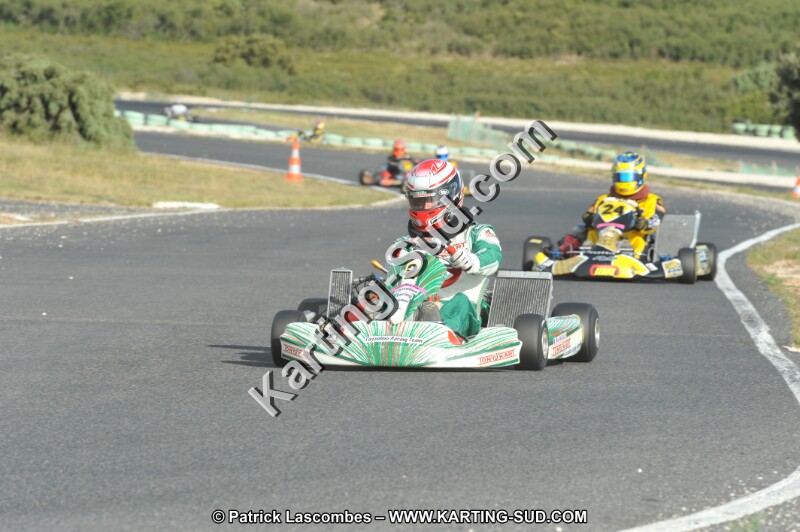 DSC (4035).JPG